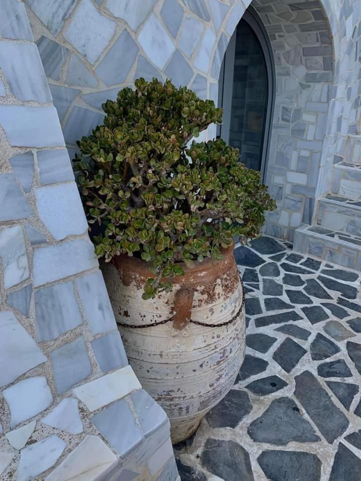 Апартаменти Πέτρινο Στη Θάλασσα Навпакт Екстер'єр фото